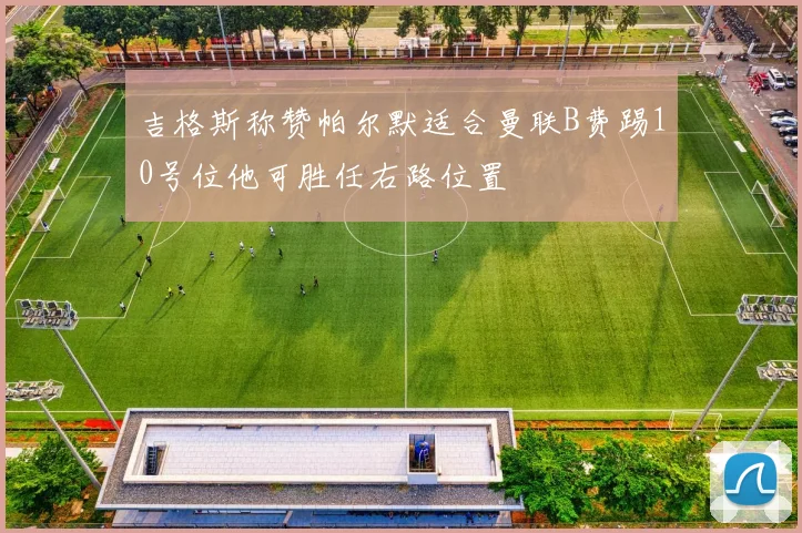 吉格斯称赞帕尔默适合曼联B费踢10号位他可胜任右路位置